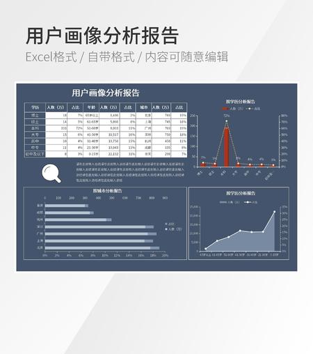 用户画像分析报告模板