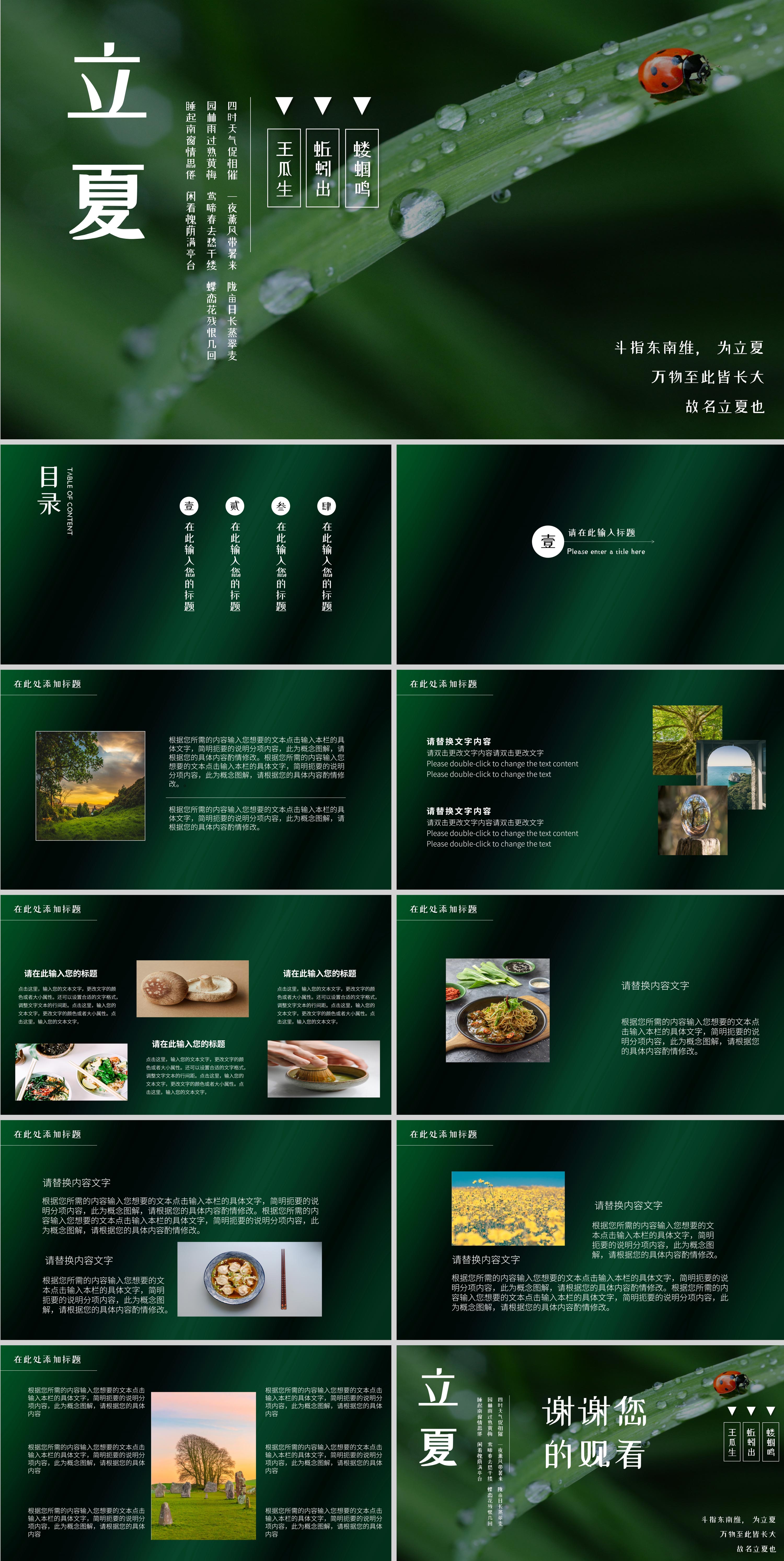 绿色画册风立夏节气PPT模板