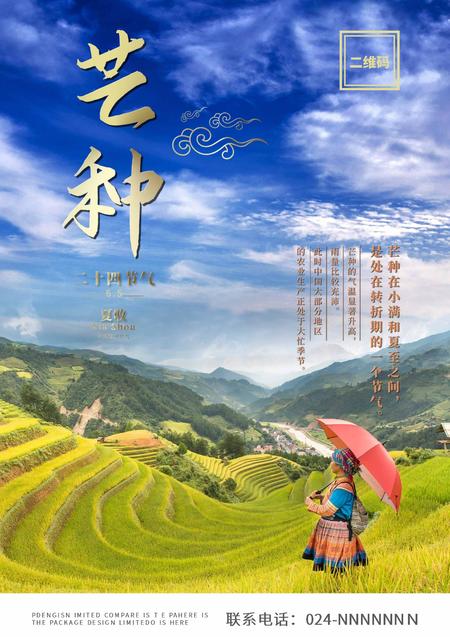 蓝色简约风芒种海报