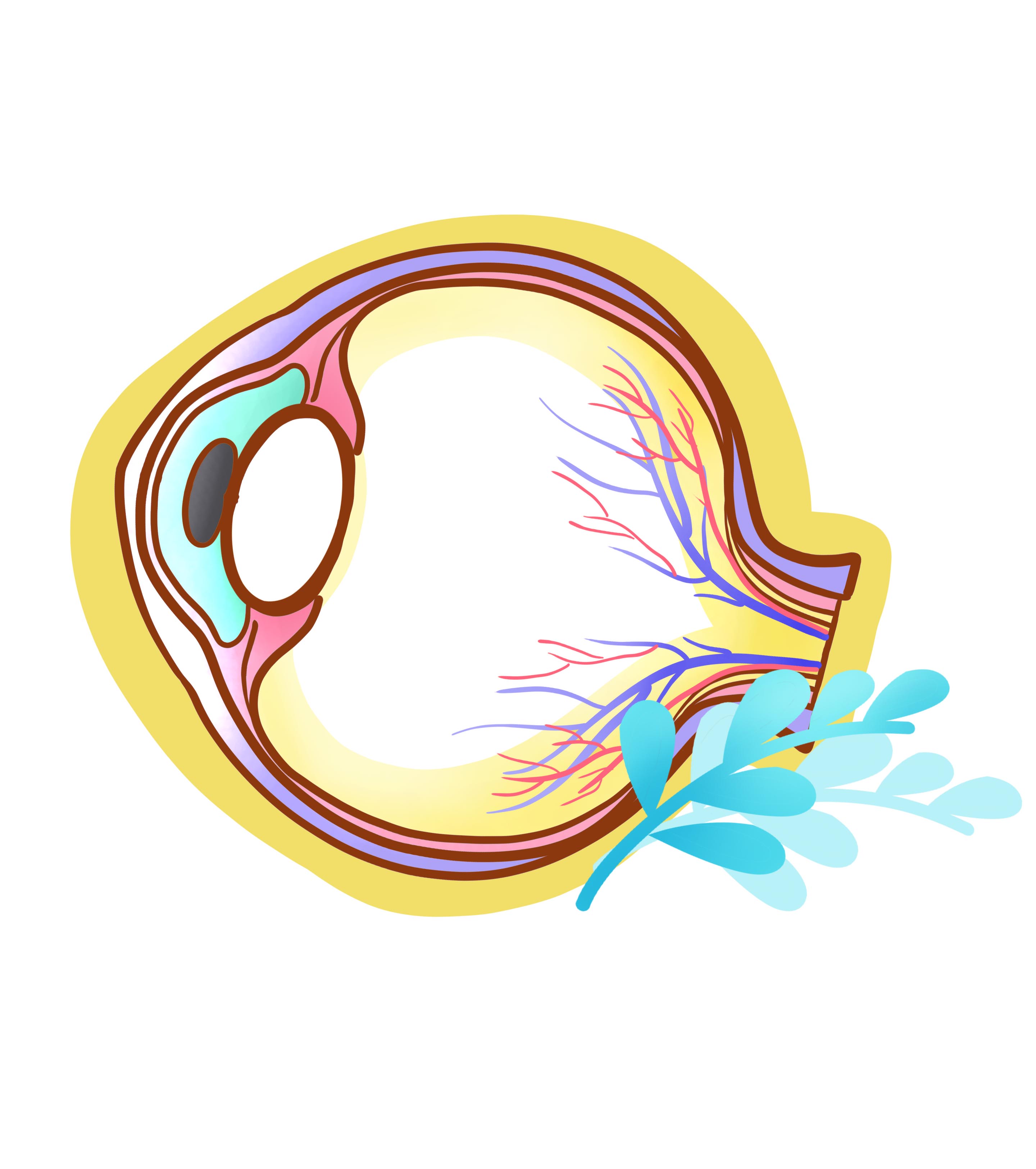 眼球血丝医学元素