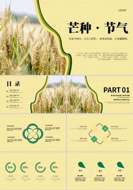 黄色简约芒种节气PPT模板