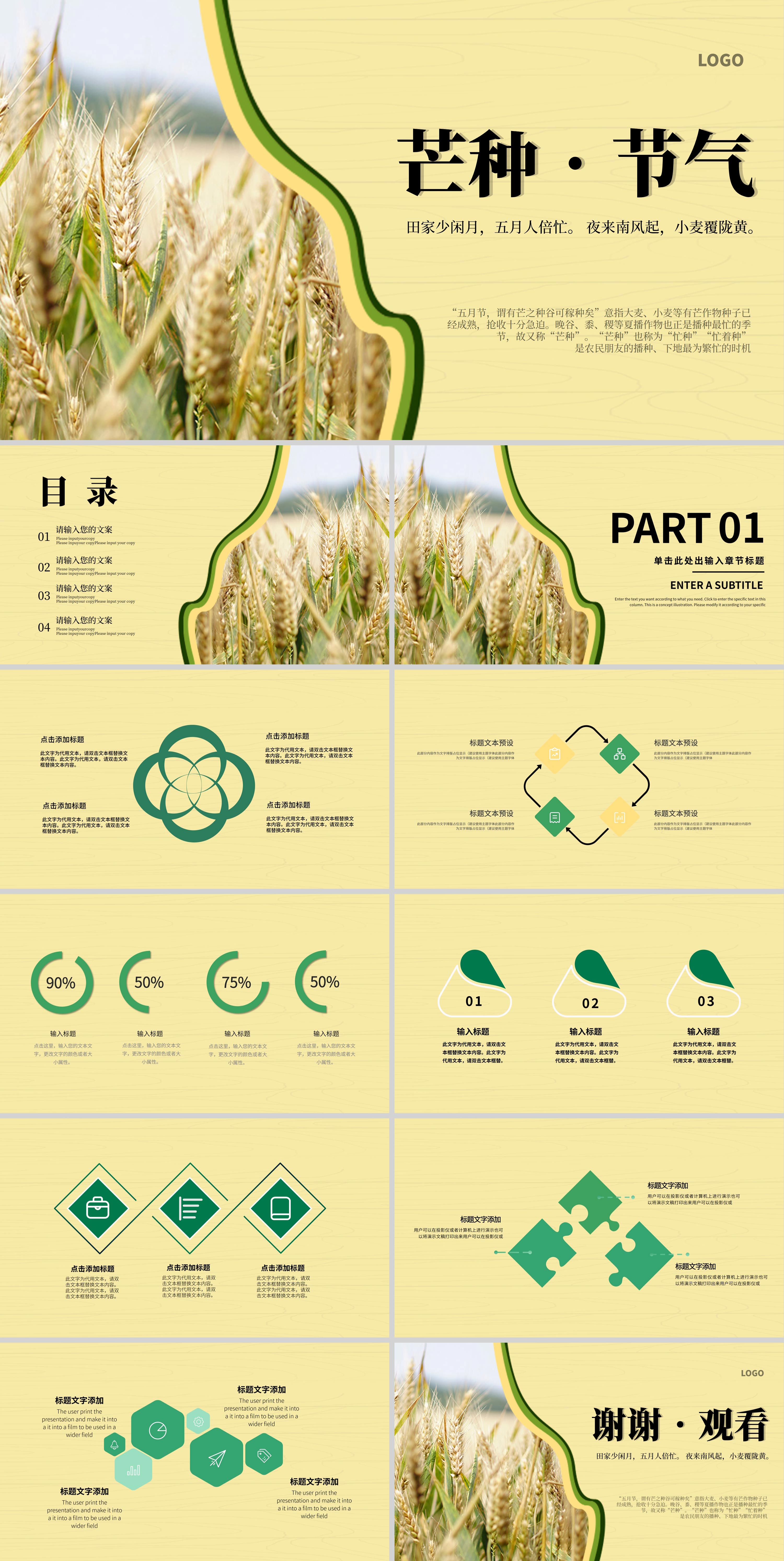 黄色简约芒种节气PPT模板