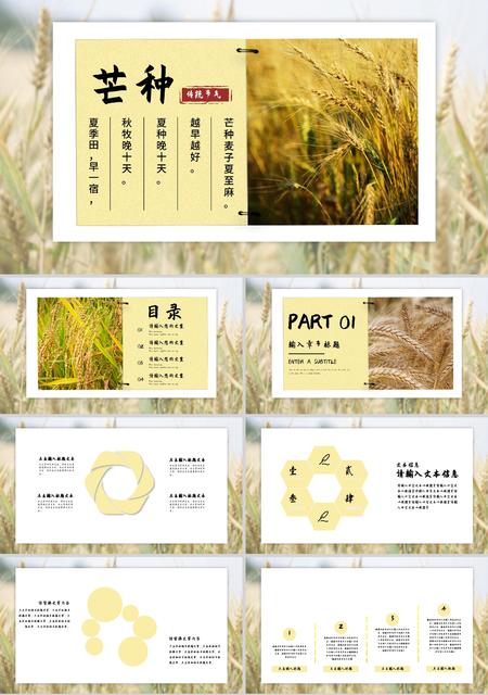 黄色自然风芒种传统节气PPT模板