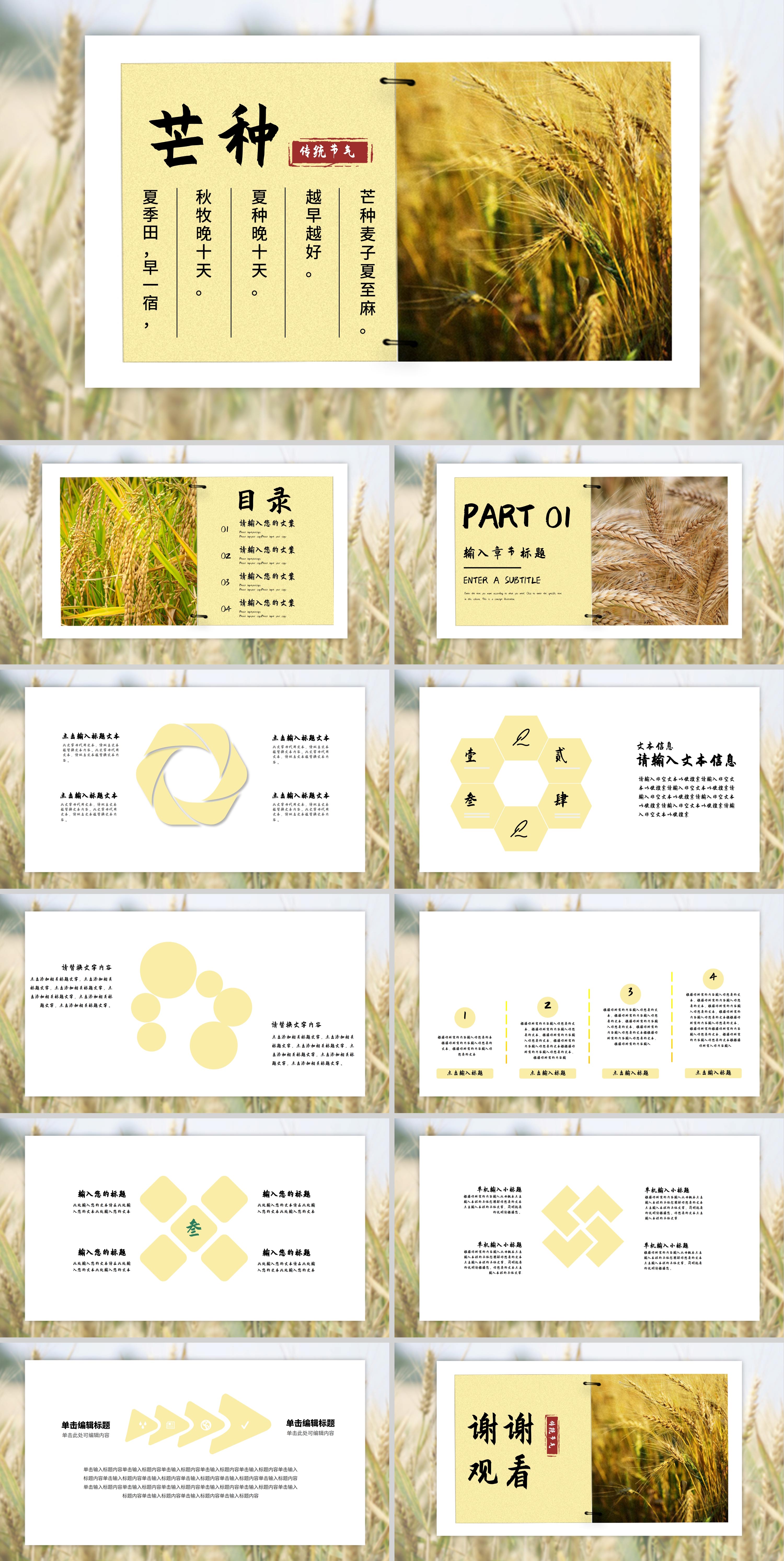 黄色自然风芒种传统节气PPT模板