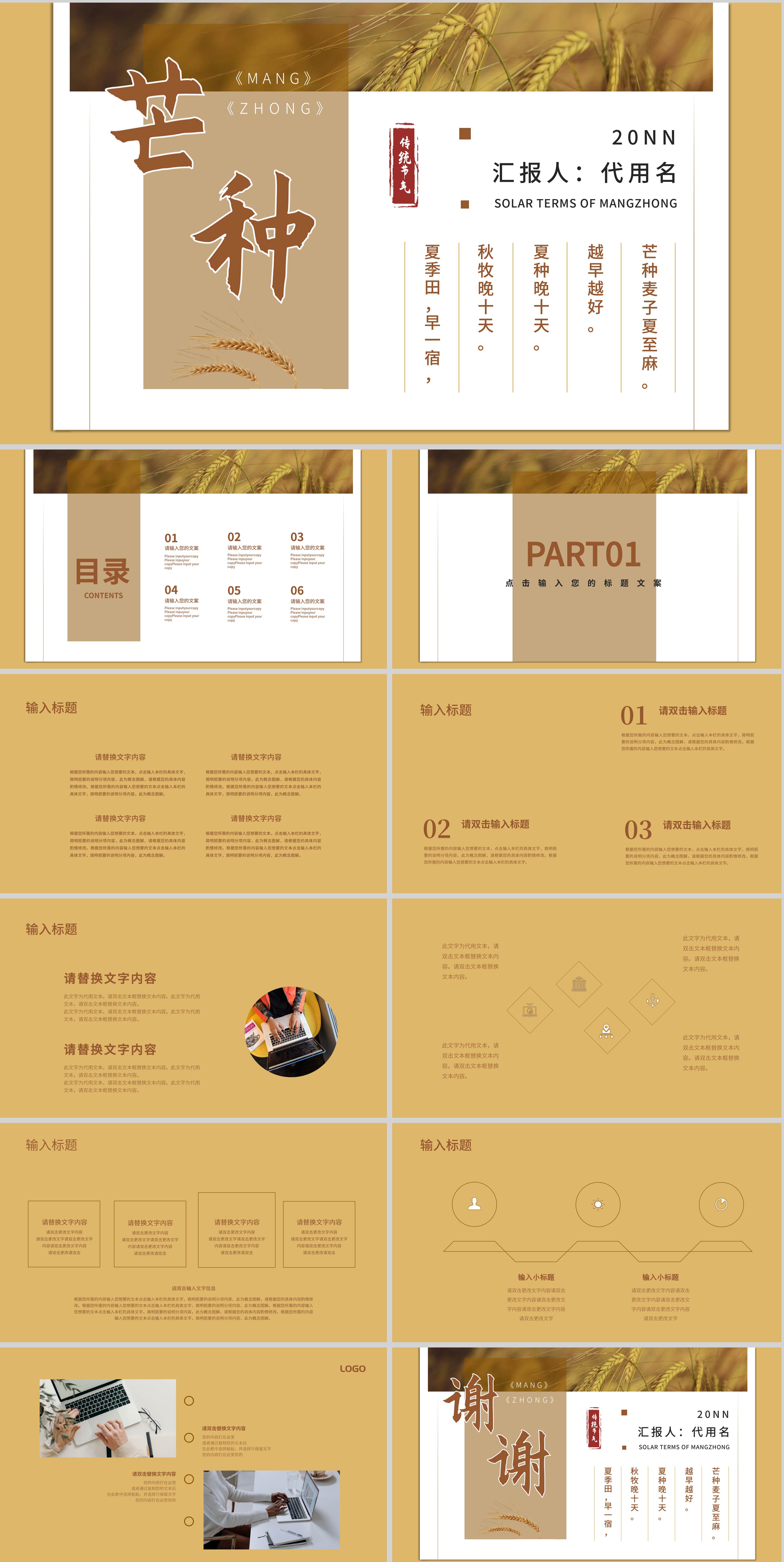 黄色简约二十四节气芒种PPT模板