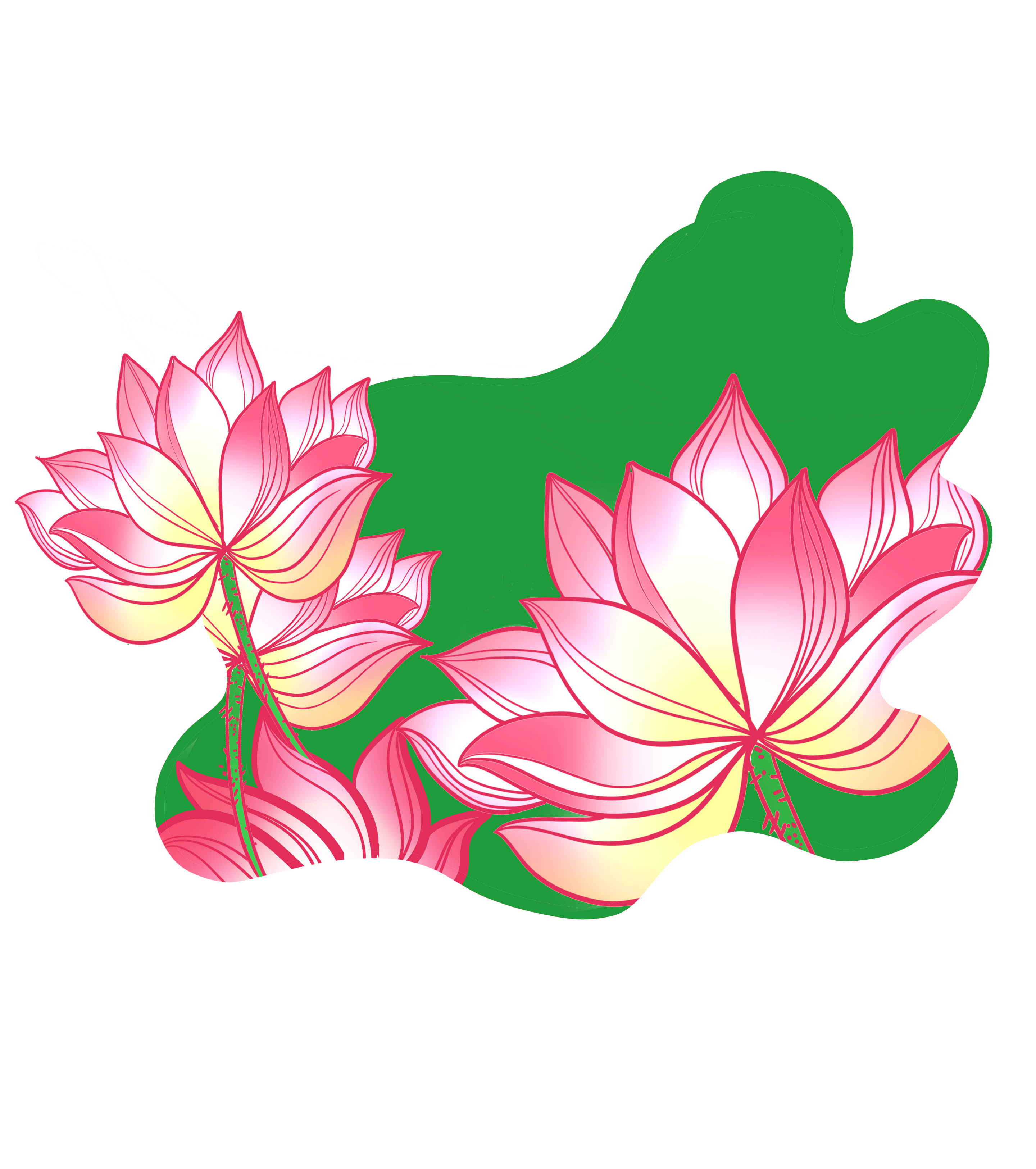 荷花荷叶手绘元素