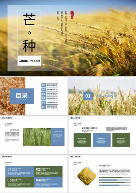 黄色画册风麦田芒种PPT模板