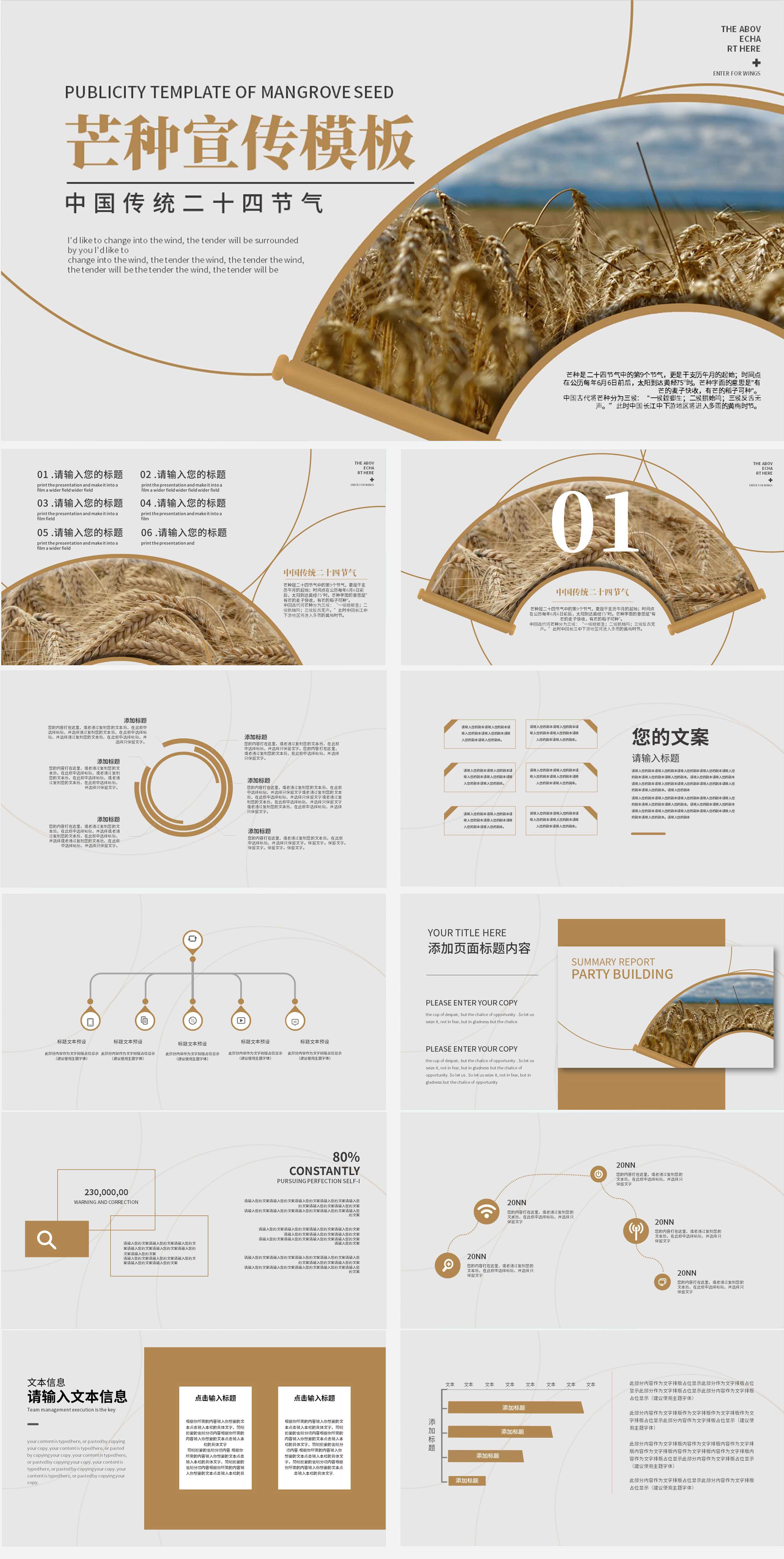 简约传统节气芒种宣传PPT模板