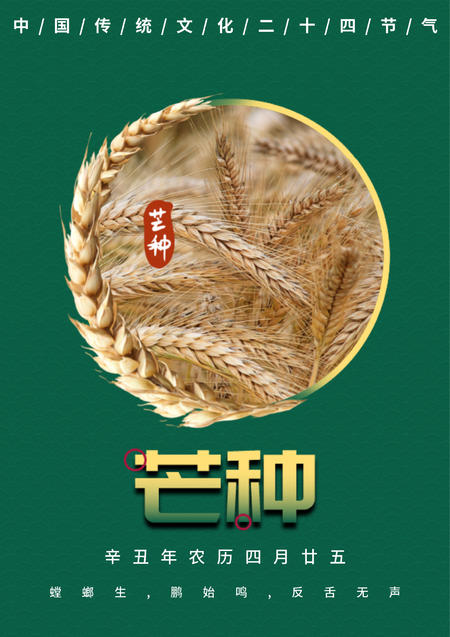 绿色简约风芒种节气海报