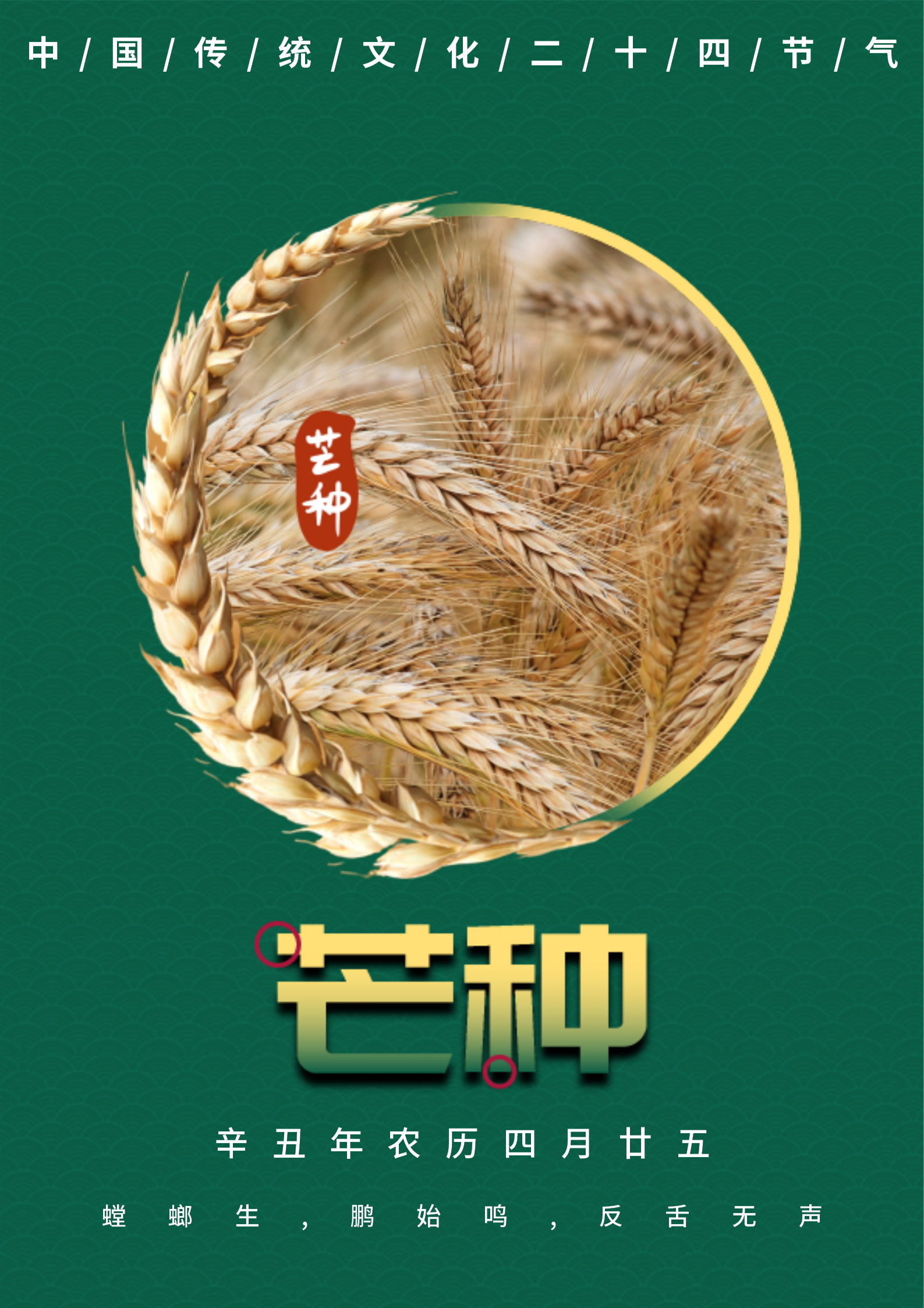 绿色简约风芒种节气海报