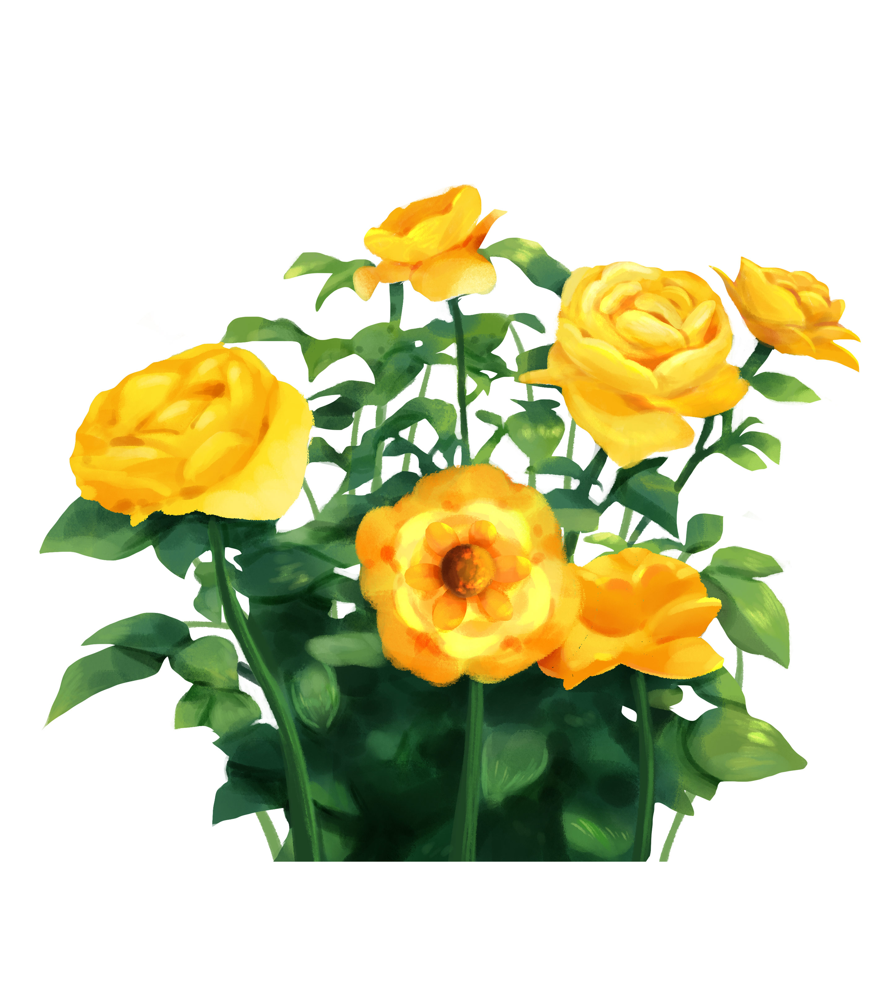 黄色手绘牡丹花元素