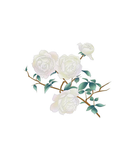 开在树上的白色花朵