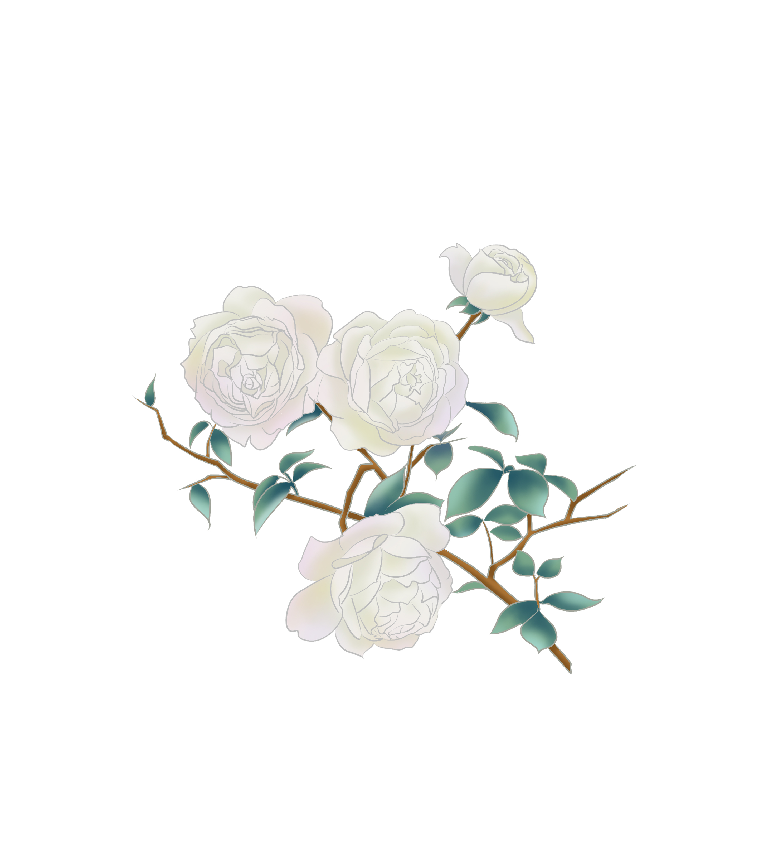 开在树上的白色花朵