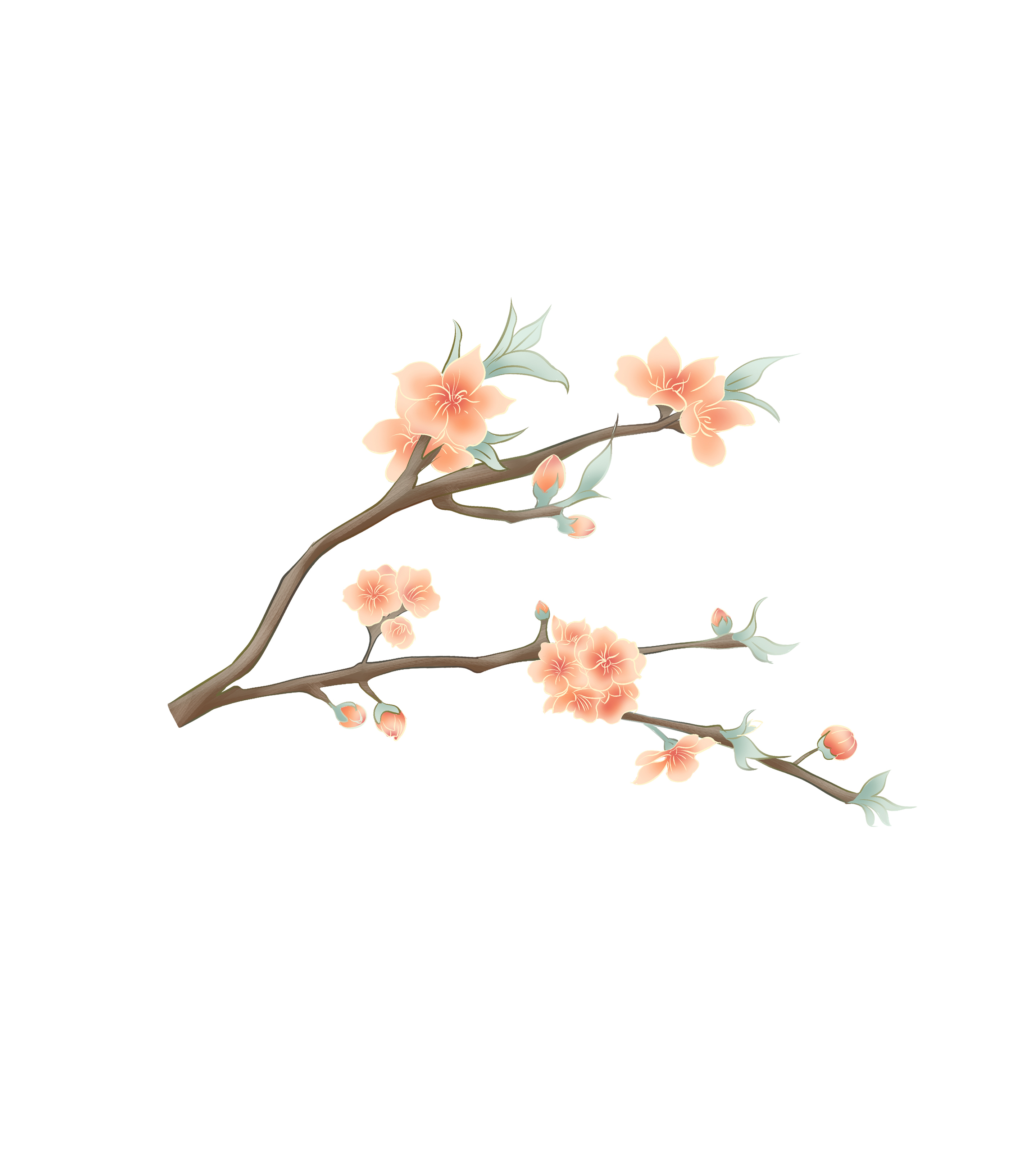 红色树枝桃花