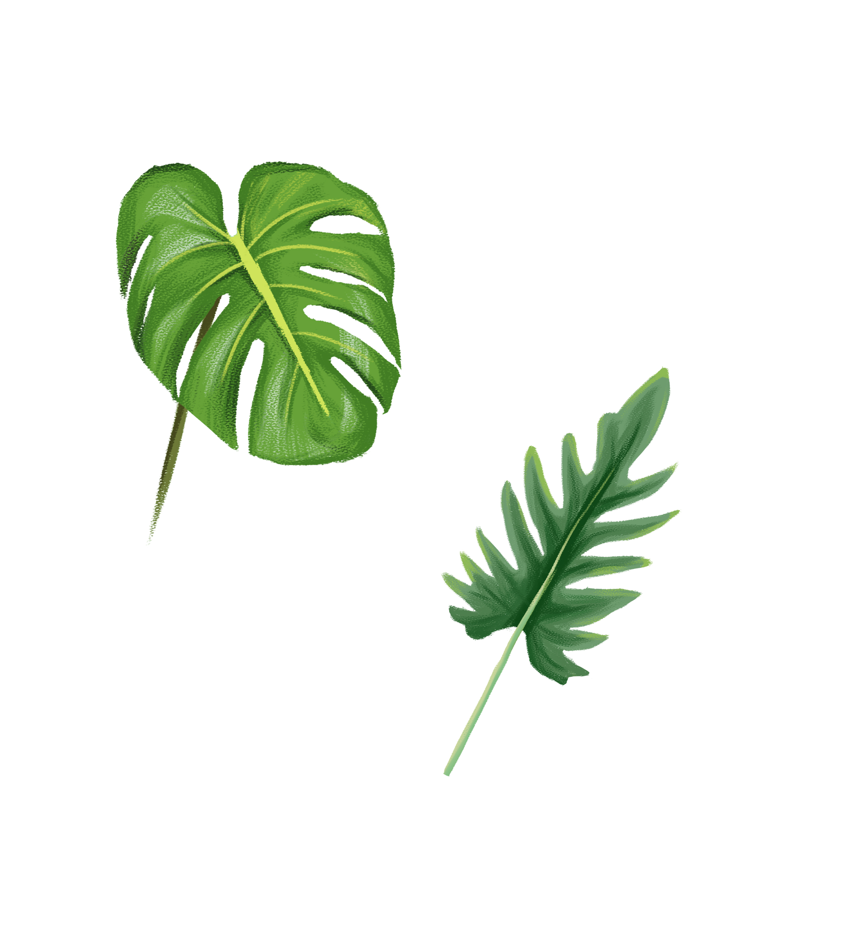 小清新ins风叶子手绘元素