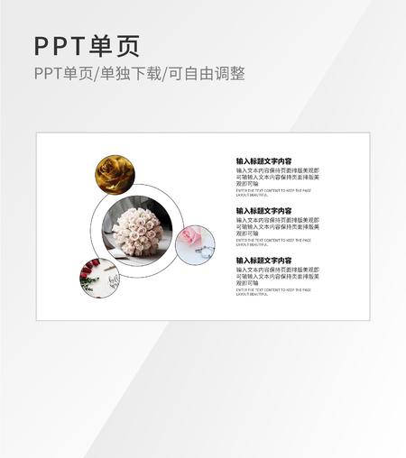 白色清新圆形结构流程