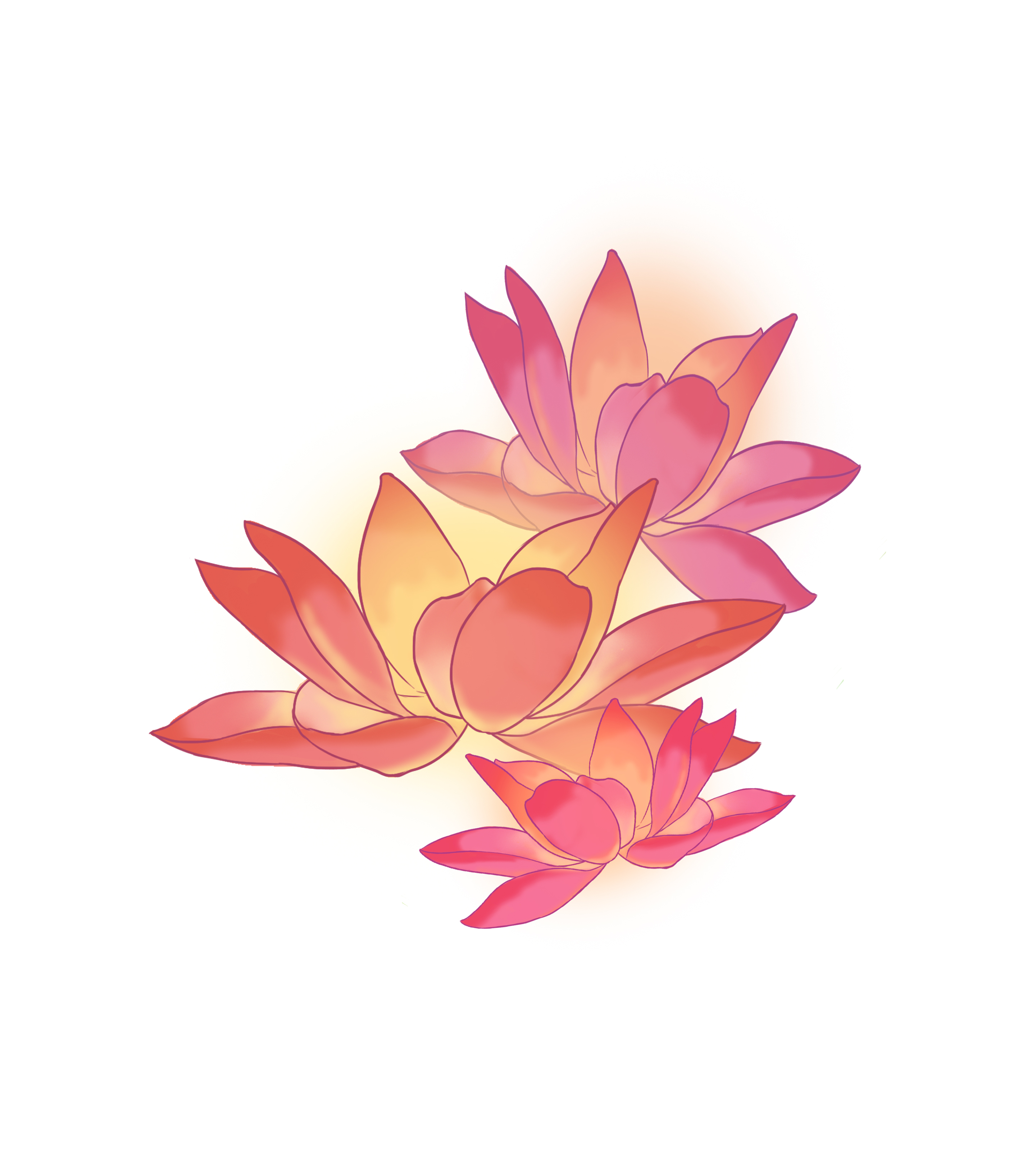 荷花元素