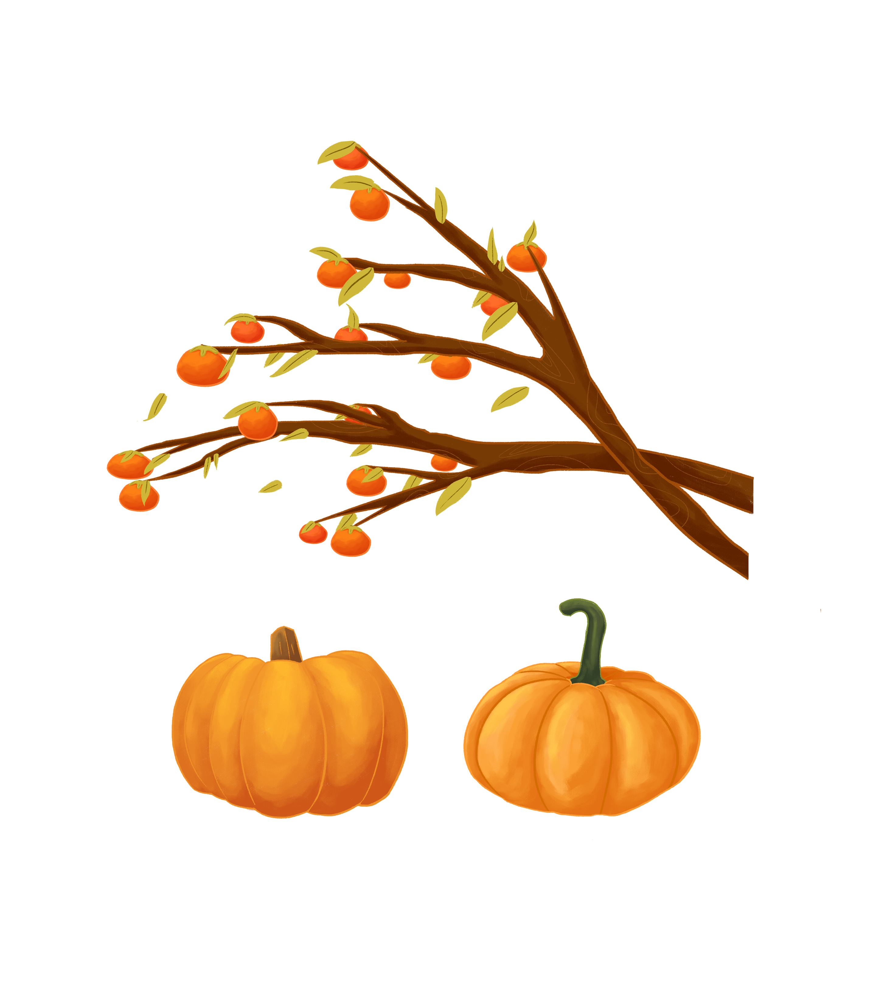 秋收南瓜手绘元素